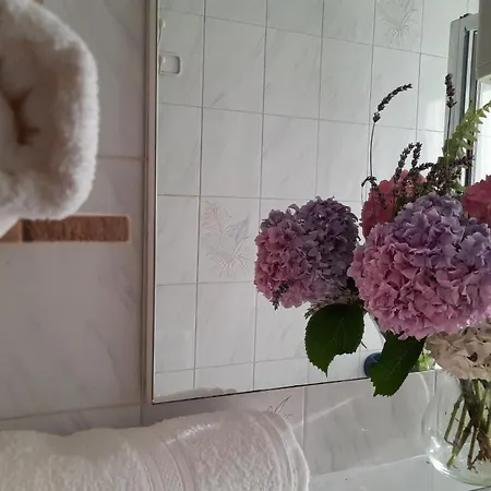Ida Apartman *